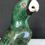 pappagallo